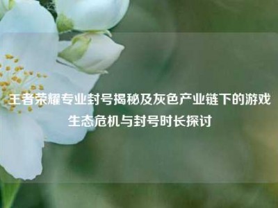 王者荣耀专业封号揭秘及灰色产业链下的游戏生态危机与封号时长探讨