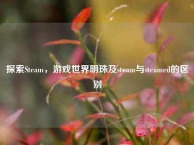 探索Steam，游戏世界明珠及steam与steamed的区别