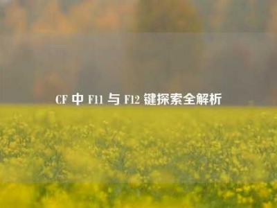 CF 中 F11 与 F12 键探索全解析