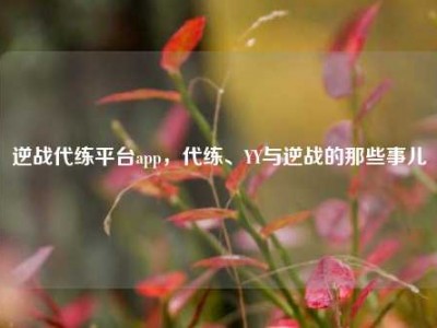 逆战代练平台app，代练、YY与逆战的那些事儿