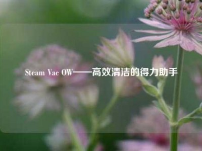 Steam Vac OW——高效清洁的得力助手