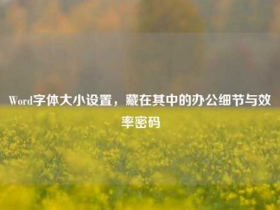 Word字体大小设置，藏在其中的办公细节与效率密码