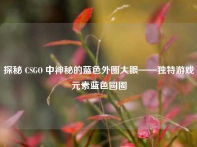 探秘 CSGO 中神秘的蓝色外圈大眼——独特游戏元素蓝色圆圈