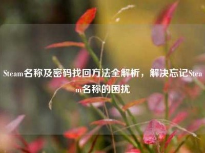 Steam名称及密码找回方法全解析，解决忘记Steam名称的困扰
