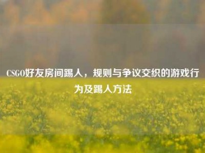 CSGO好友房间踢人，规则与争议交织的游戏行为及踢人方法