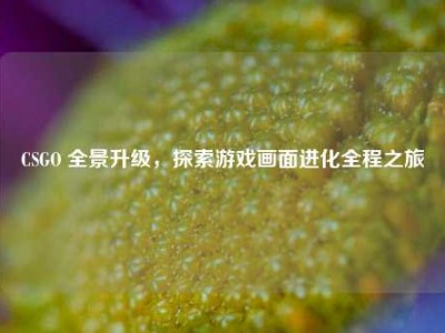 CSGO 全景升级，探索游戏画面进化全程之旅
