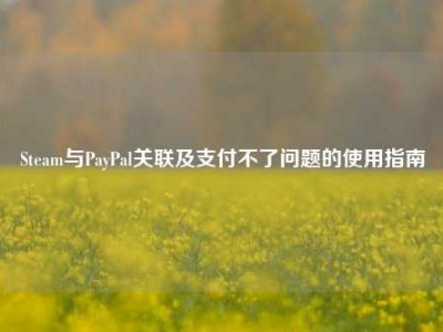 Steam与PayPal关联及支付不了问题的使用指南