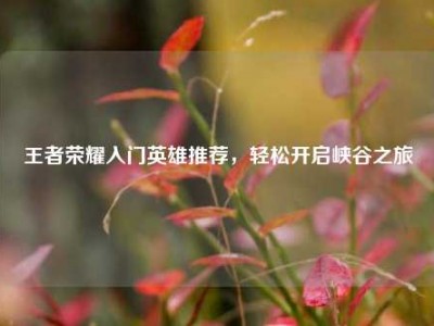 王者荣耀入门英雄推荐，轻松开启峡谷之旅