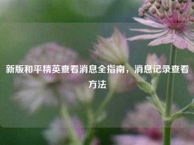新版和平精英查看消息全指南，消息记录查看方法