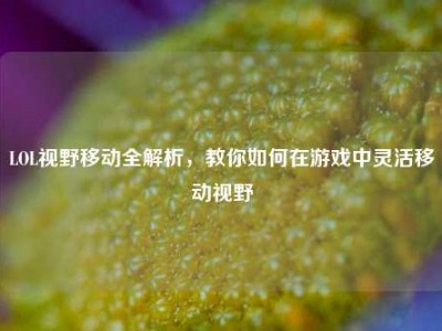 LOL视野移动全解析，教你如何在游戏中灵活移动视野
