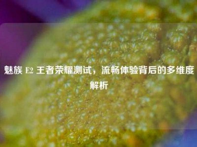 魅族 E2 王者荣耀测试，流畅体验背后的多维度解析