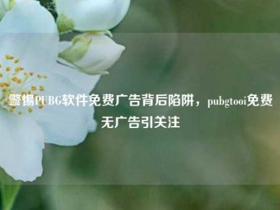 警惕PUBG软件免费广告背后陷阱，pubgtooi免费无广告引关注