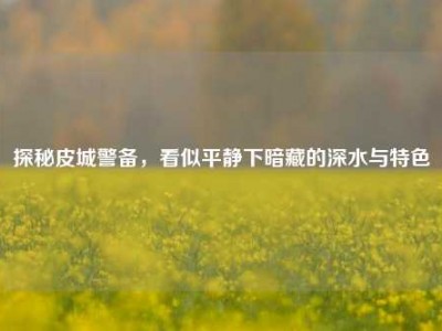 探秘皮城警备，看似平静下暗藏的深水与特色
