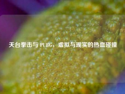 天台拳击与 PUBG，虚拟与现实的热血碰撞