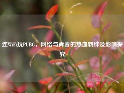 连WiFi玩PUBG，网络与青春的热血羁绊及影响探究
