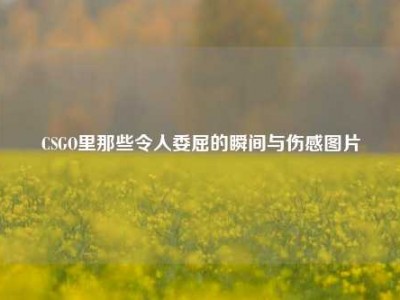 CSGO里那些令人委屈的瞬间与伤感图片