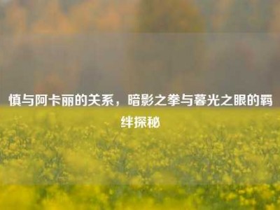 慎与阿卡丽的关系，暗影之拳与暮光之眼的羁绊探秘