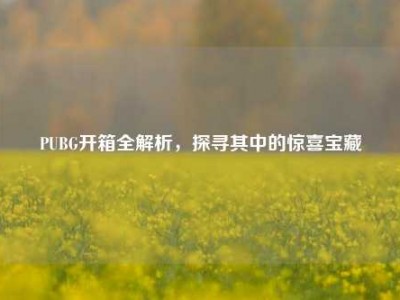 PUBG开箱全解析，探寻其中的惊喜宝藏