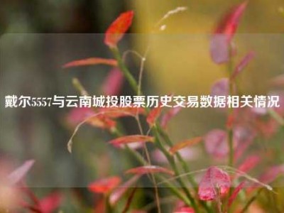 戴尔5557与云南城投股票历史交易数据相关情况
