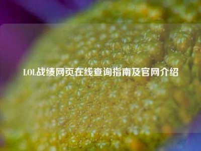 LOL战绩网页在线查询指南及官网介绍