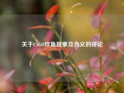 关于CSGO炸鱼现象及含义的评论