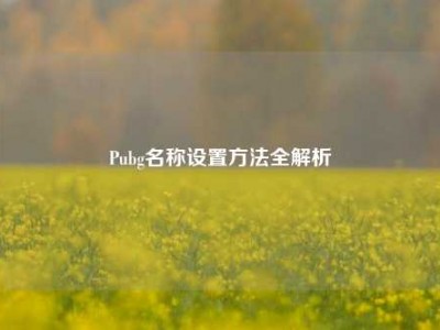 Pubg名称设置方法全解析