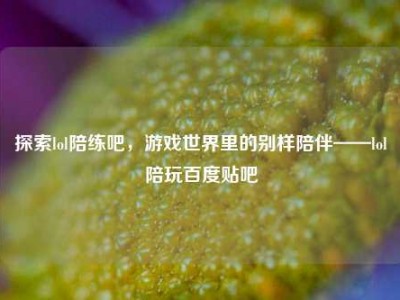 探索lol陪练吧，游戏世界里的别样陪伴——lol陪玩百度贴吧