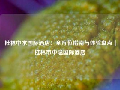 桂林中水国际酒店：全方位指南与体验盘点｜桂林市中隐国际酒店
