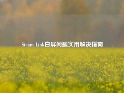 Steam Link白屏问题实用解决指南