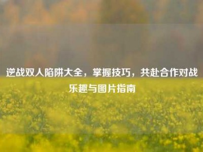 逆战双人陷阱大全，掌握技巧，共赴合作对战乐趣与图片指南