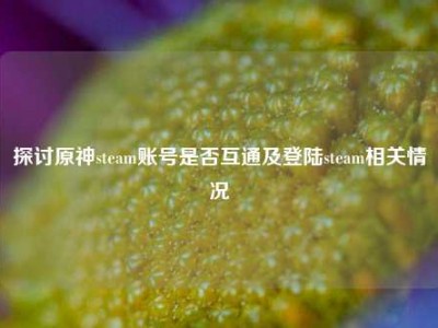 探讨原神steam账号是否互通及登陆steam相关情况