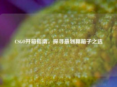 CSGO开箱指南，探寻最划算箱子之选