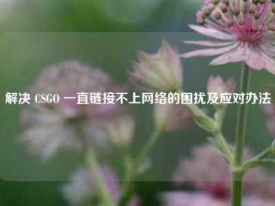 解决 CSGO 一直链接不上网络的困扰及应对办法
