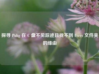 探寻 Pubg 在 C 盘不见踪迹且找不到 Users 文件夹的缘由