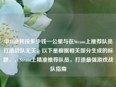 中14油耗投多少钱一公里与在Steam上推荐队员打造战队无关，以下是根据相关部分生成的标题，，Steam上精准推荐队员，打造最强游戏战队指南