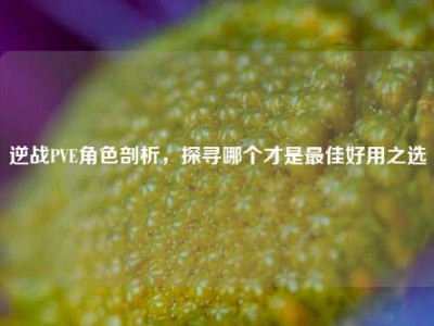 逆战PVE角色剖析，探寻哪个才是最佳好用之选