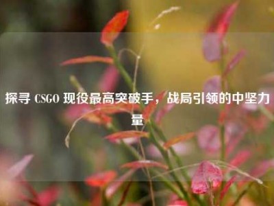 探寻 CSGO 现役最高突破手，战局引领的中坚力量
