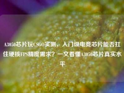 A3050芯片玩CSGO实测，入门级电竞芯片能否扛住硬核FPS精度需求？一文看懂A3050芯片真实水平