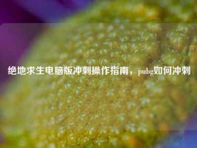 绝地求生电脑版冲刺操作指南，pubg如何冲刺