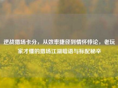 逆战猎场卡分，从效率捷径到情怀悖论，老玩家才懂的猎场江湖暗语与标配秘辛