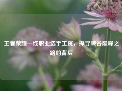 王者荣耀一线职业选手工资，探寻峡谷巅峰之路的背后