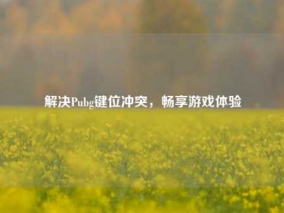 解决Pubg键位冲突，畅享游戏体验
