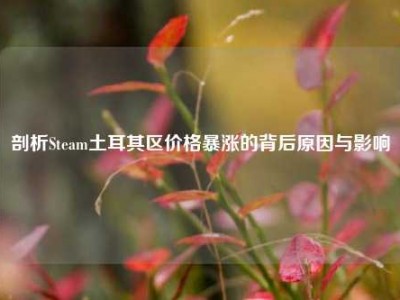 剖析Steam土耳其区价格暴涨的背后原因与影响