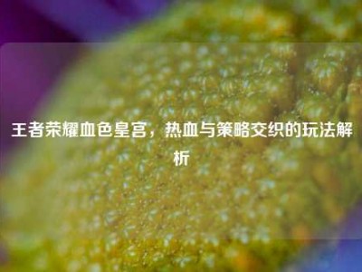 王者荣耀血色皇宫，热血与策略交织的玩法解析