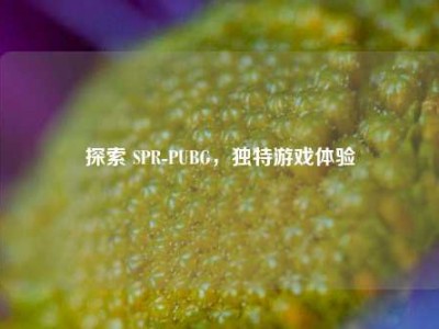 探索 SPR-PUBG，独特游戏体验