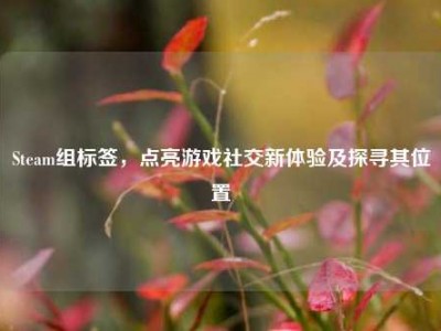 Steam组标签，点亮游戏社交新体验及探寻其位置