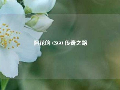 阿花的 CSGO 传奇之路