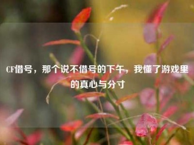 CF借号，那个说不借号的下午，我懂了游戏里的真心与分寸