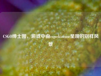 CSGO绅士图，游戏中由csgoskincase呈现的别样风景