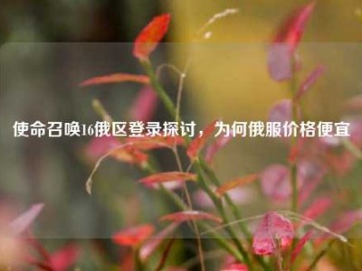 使命召唤16俄区登录探讨，为何俄服价格便宜